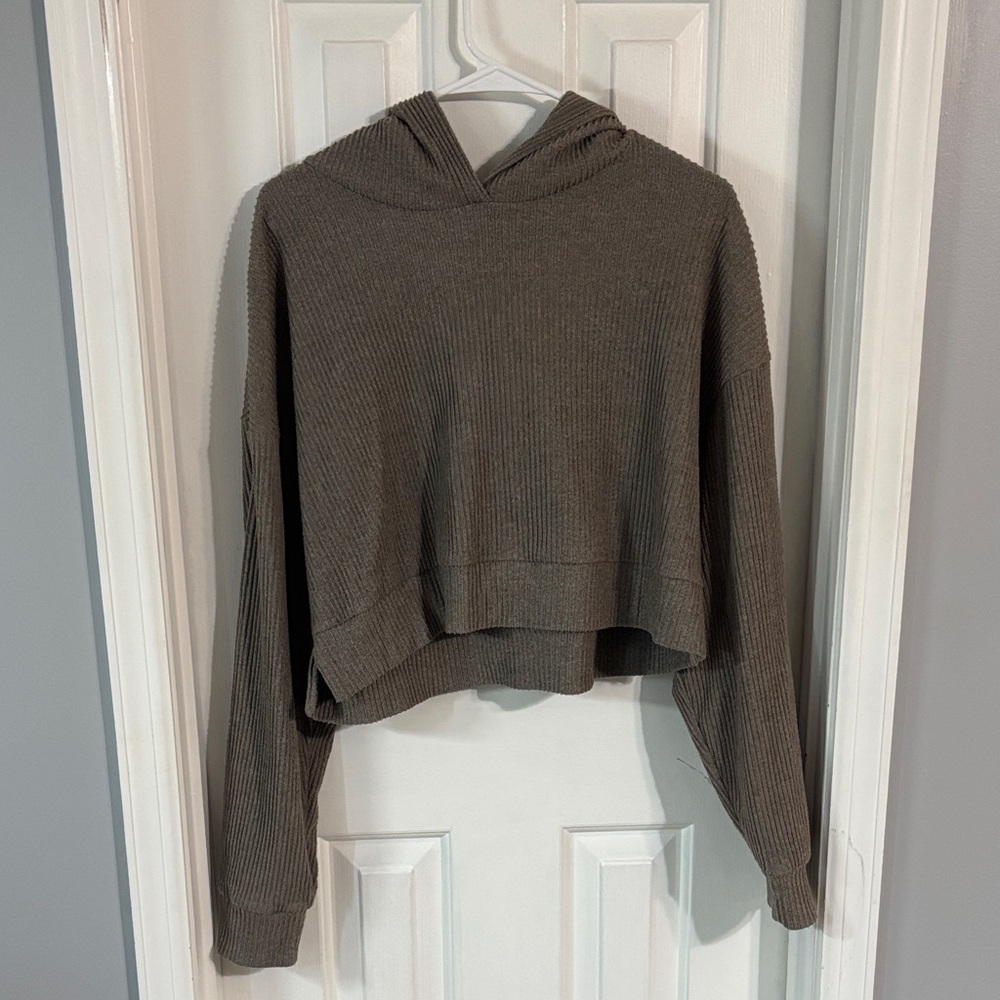 ALO Yoga Brown Cropped Hoodie